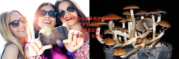 хмурый Алексин