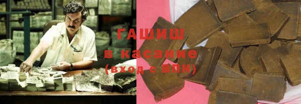хмурый Алексин