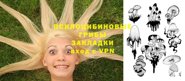 хмурый Алексин