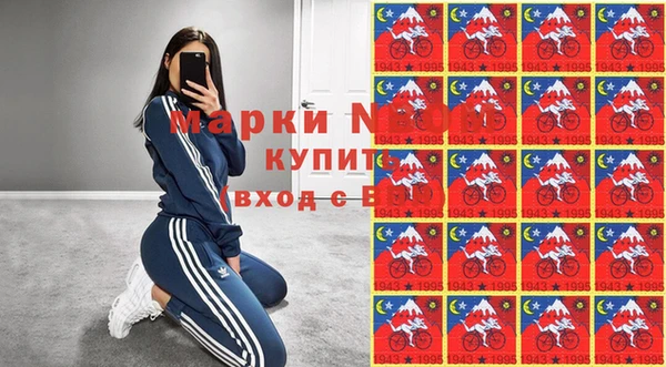 хмурый Алексин