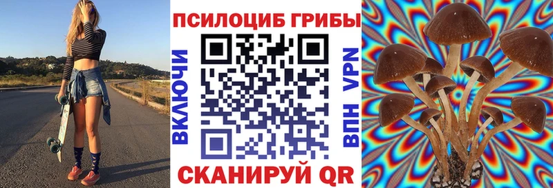 Псилоцибиновые грибы GOLDEN TEACHER  купить  цена  Ликино-Дулёво 